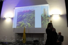 sfilata-del-13-dicembre-2019-2