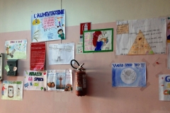 immagine-6