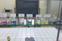 sostanze-di-uso-comune-utilizzate-per-determinare-il-Ph-