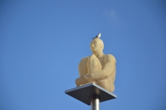 foto-11