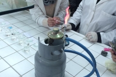 saggi-alla-fiamma