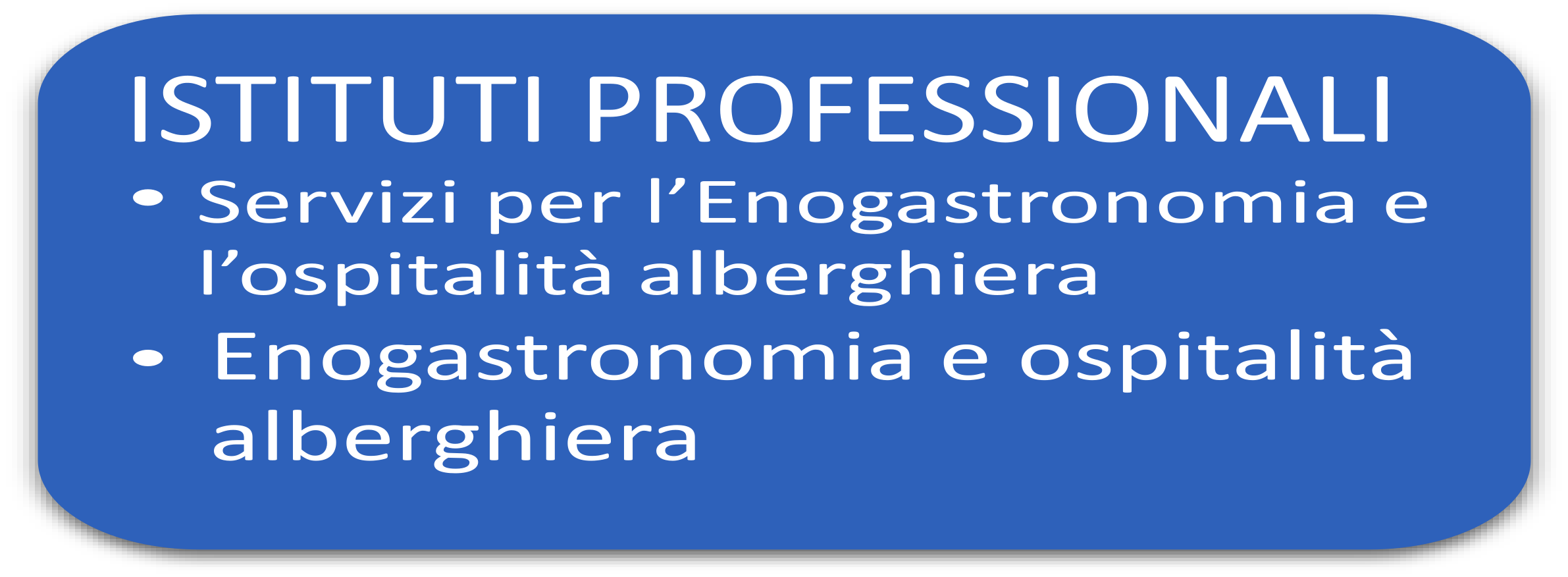 ISTITUTO PROFESSIONALE